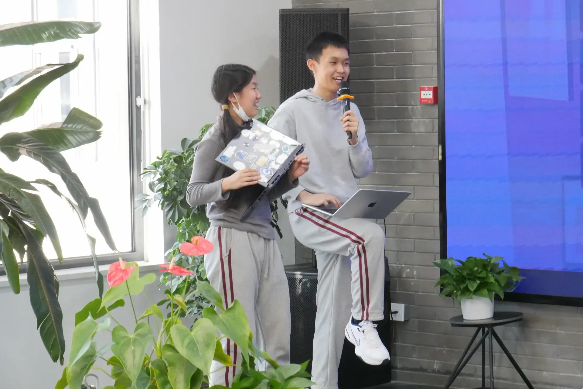 WebArtistry 活动 2