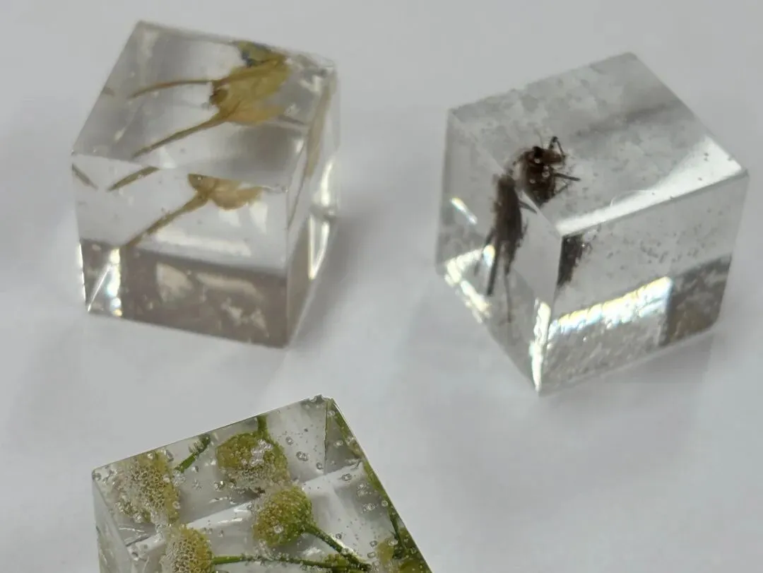 由微信文章导入