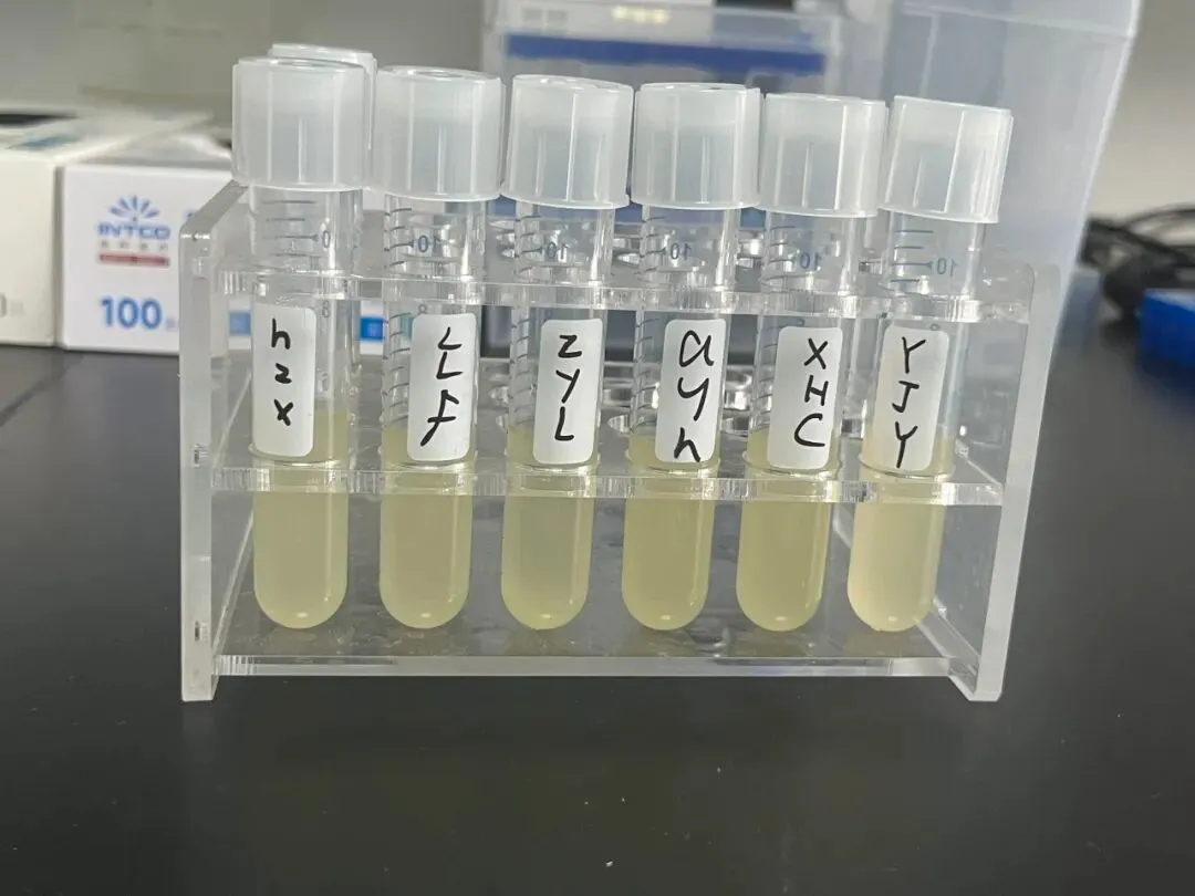 由微信文章导入