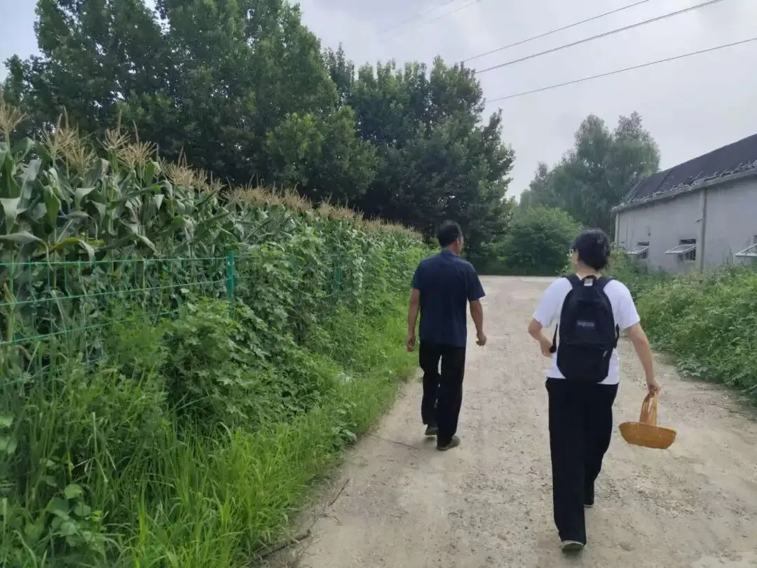 由微信文章导入