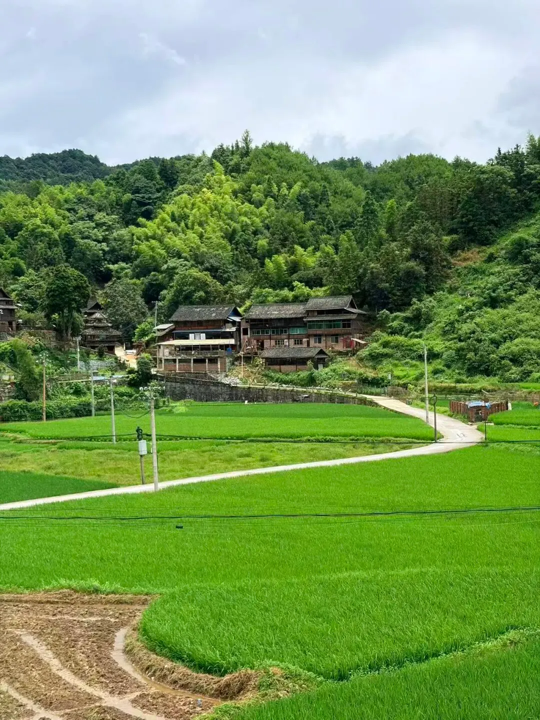 由微信文章导入