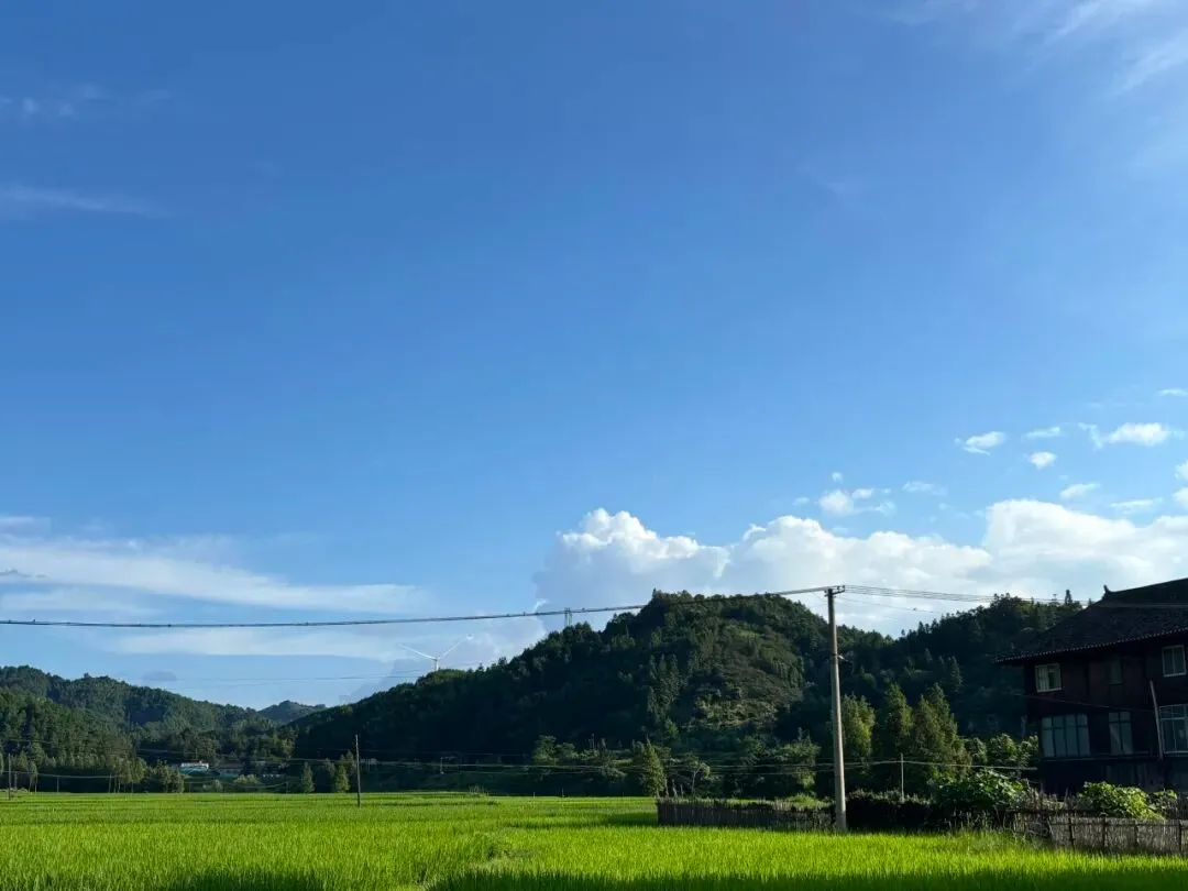 由微信文章导入
