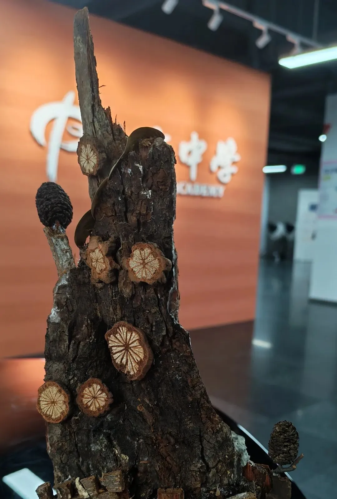 由微信文章导入