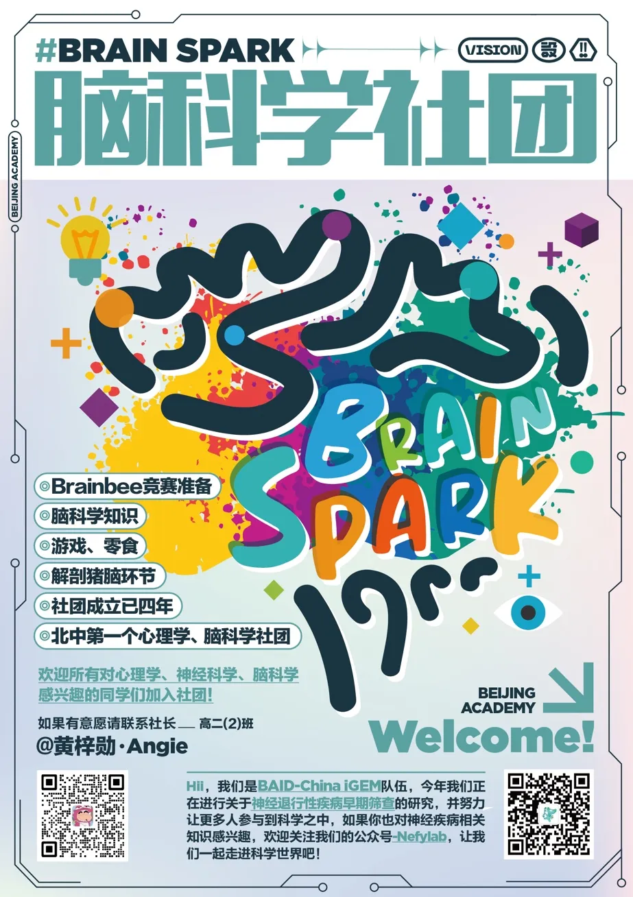 Brain Spark 海报